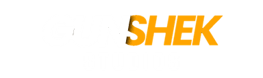 Gunshek Studios Logo